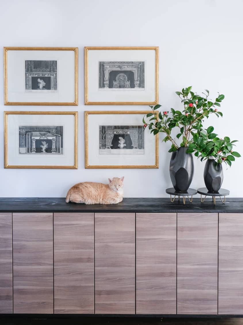 How To Keep Cats Off Kitchen Counters (7 Ways That Work) Apartment